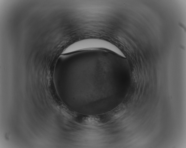 X0000091010223200708241520