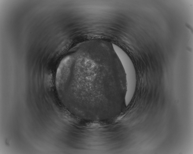 X0000091010224200708241519