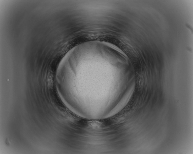 X0000091010226200708241519