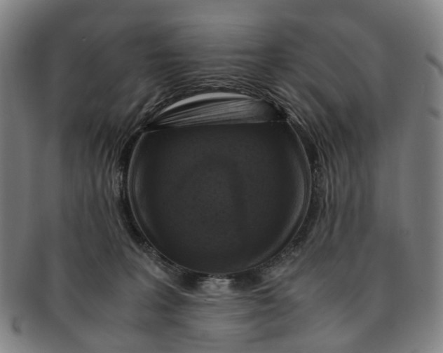 X0000091010227200708241519