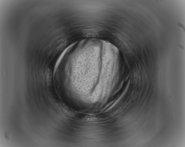 X0000091010228200708241519