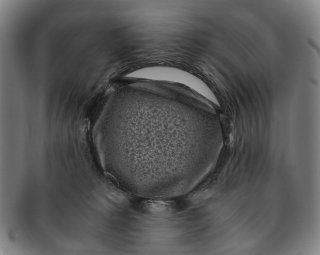 X0000091010229200708241519