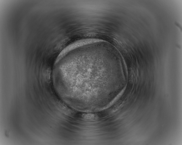 X0000091010230200708241519