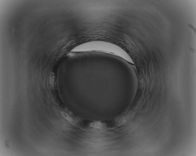 X0000091010231200708241519