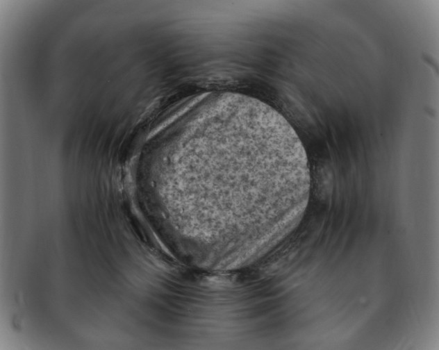 X0000091010232200708241519