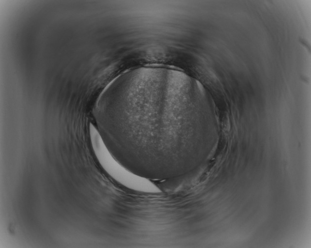 X0000091010233200708241519