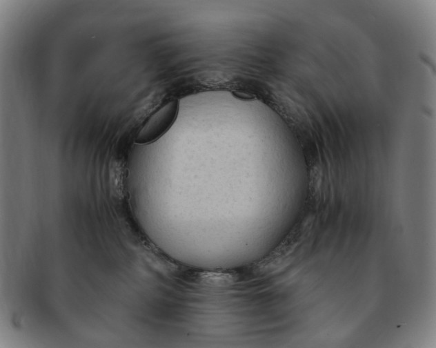 X0000091010234200708241519