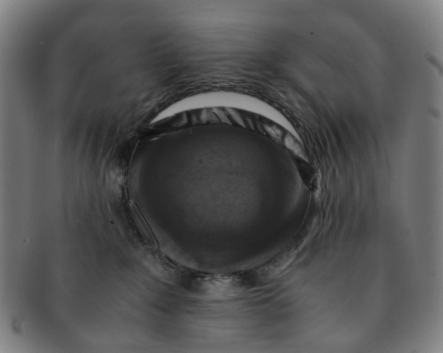 X0000091010235200708241519