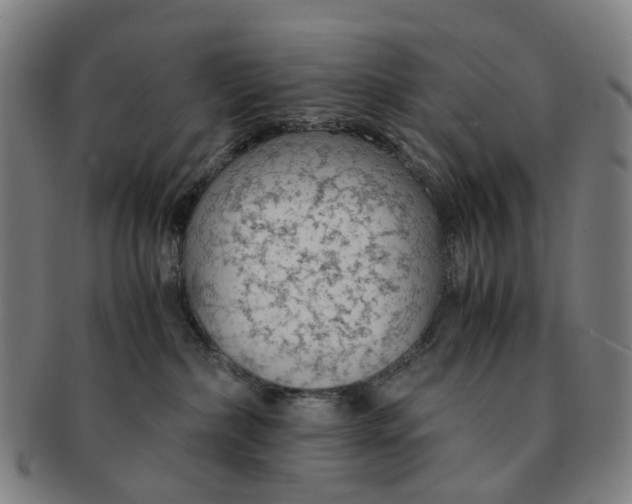 X0000091010236200708241519