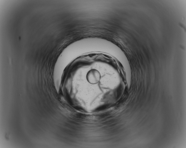 X0000091010237200708241519