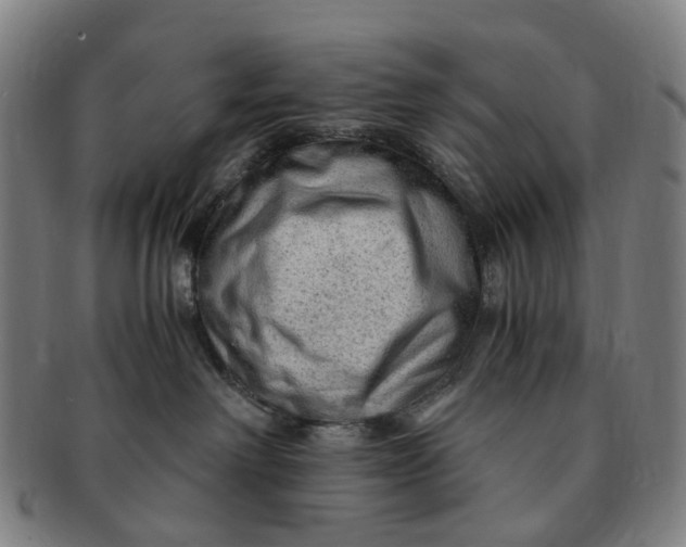 X0000091010238200708241519