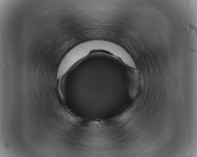 X0000091010239200708241519