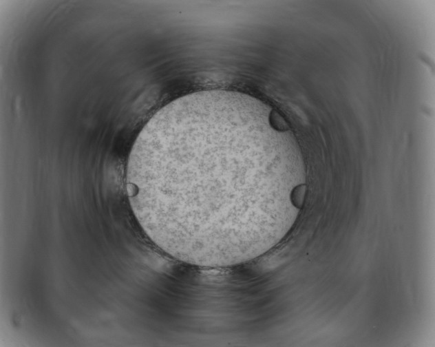 X0000091010240200708241519