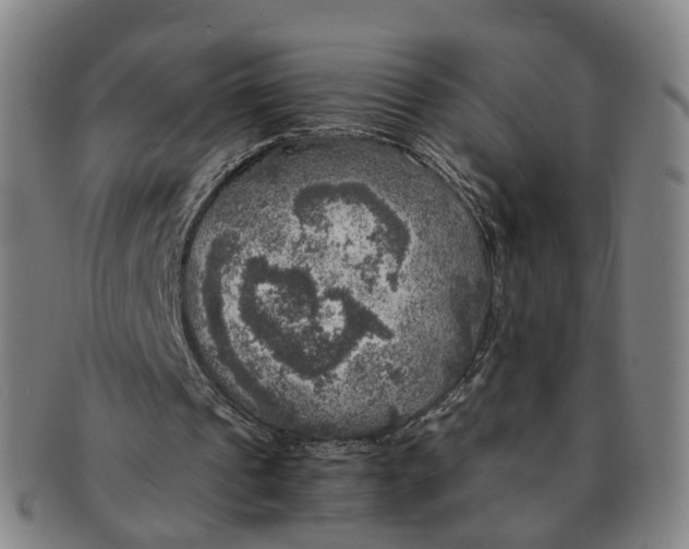 X0000091010241200708241519