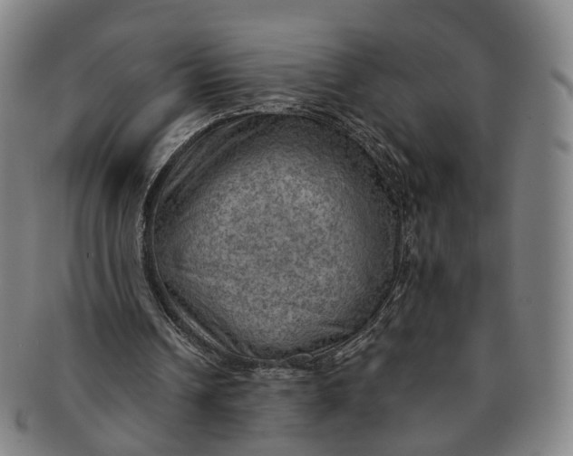 X0000091010242200708241519