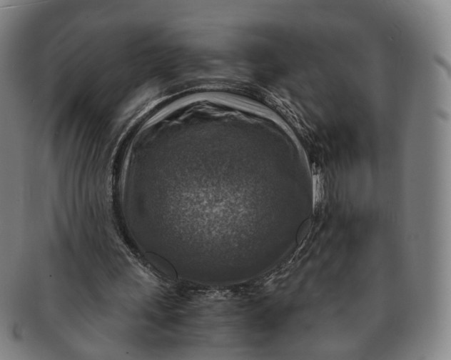 X0000091010243200708241519