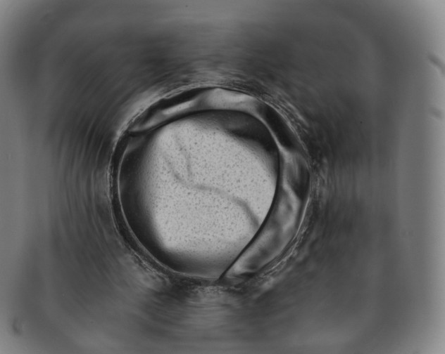 X0000091010244200708241519