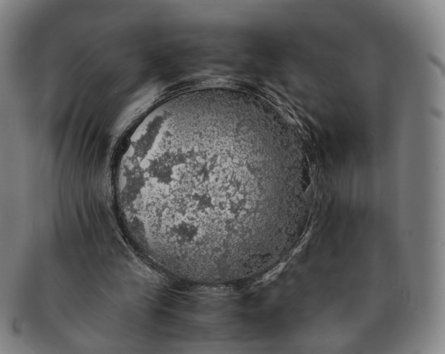 X0000091010245200708241519