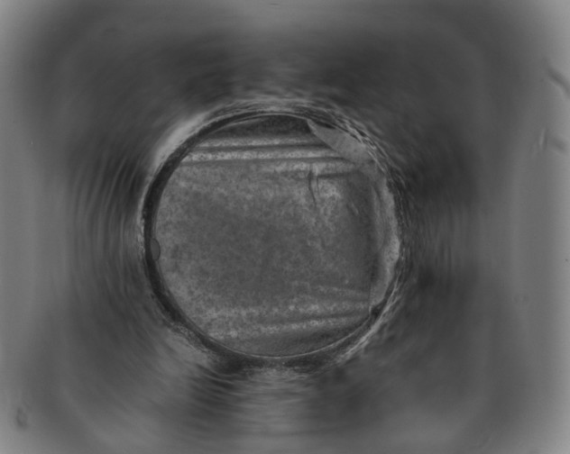 X0000091010246200708241519