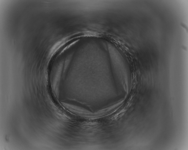 X0000091010247200708241519