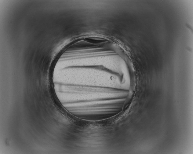 X0000091010248200708241519