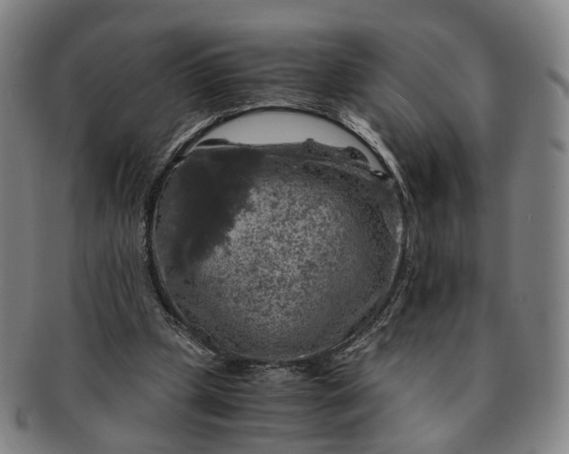 X0000091010249200708241519