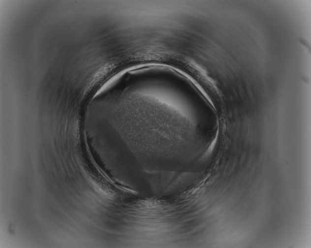 X0000091010250200708241519