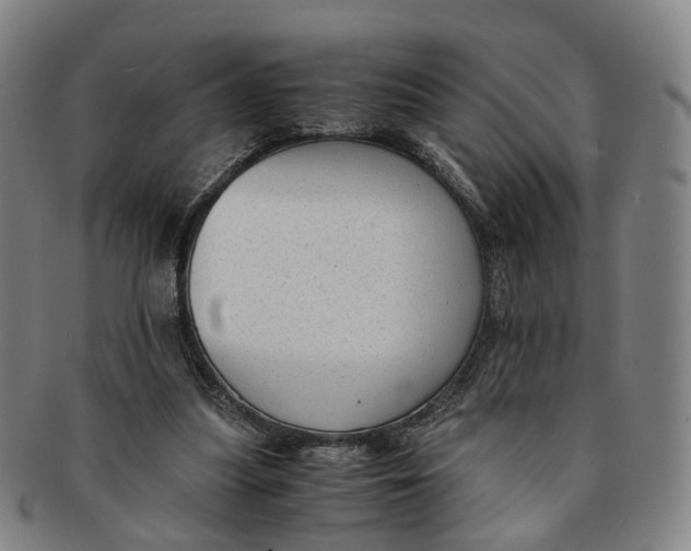 X0000091010251200708241519