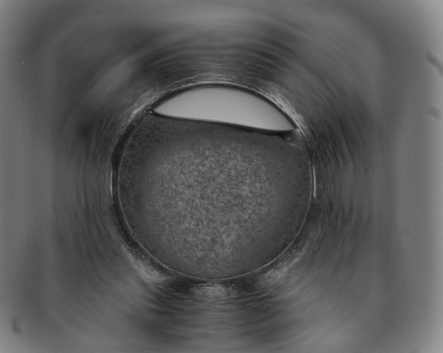 X0000091010253200708241519