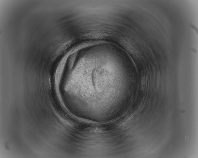 X0000091010254200708241519