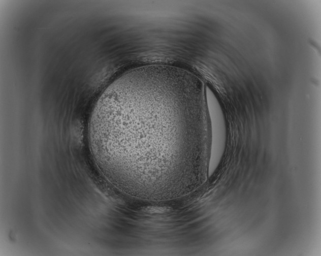 X0000091010255200708241519