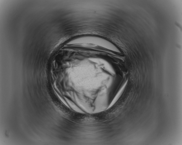 X0000091010256200708241519