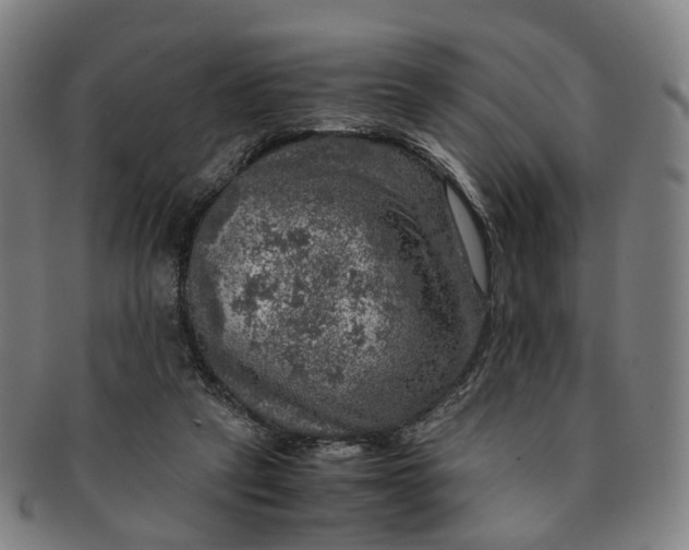 X0000091010257200708241519