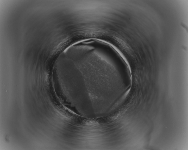 X0000091010258200708241519