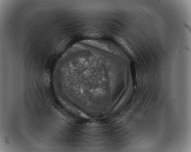 X0000091010259200708241519