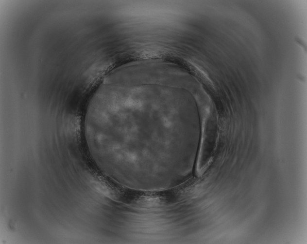 X0000091010260200708241519