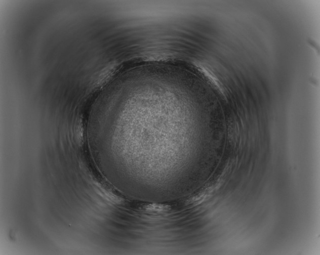 X0000091010261200708241519