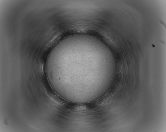 X0000091010262200708241519