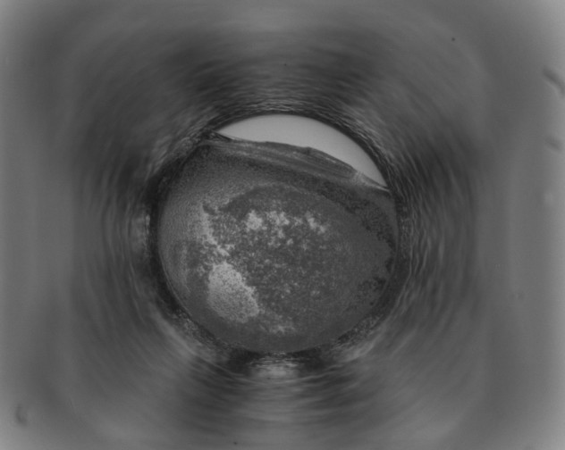 X0000091010263200708241519