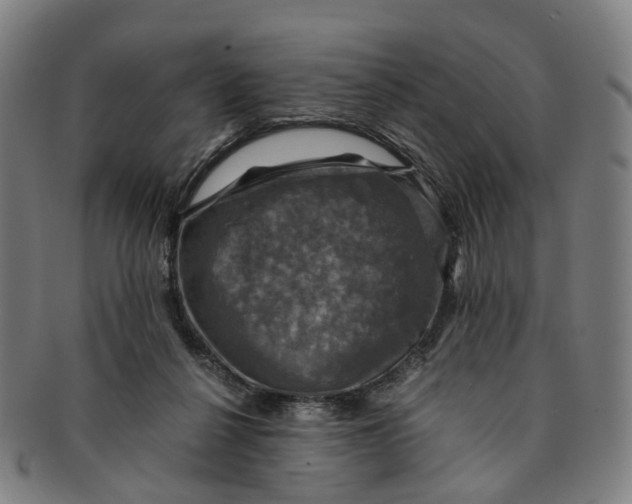 X0000091010264200708241519