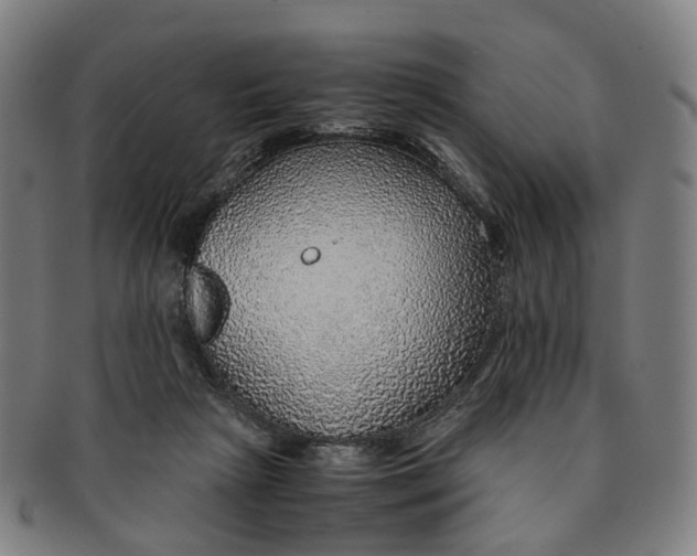 X0000091010265200708241519