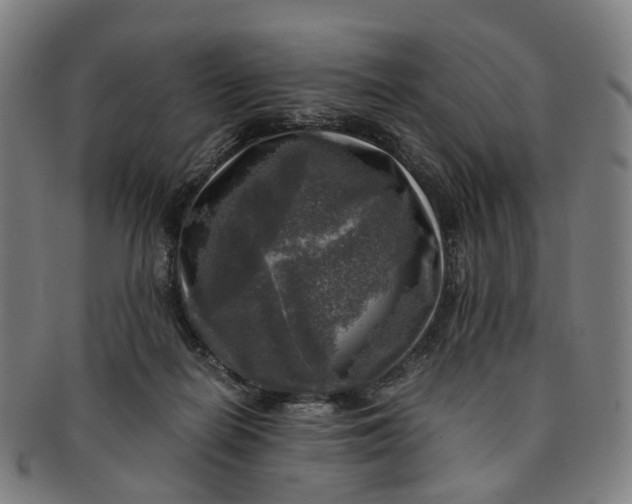 X0000091010266200708241519