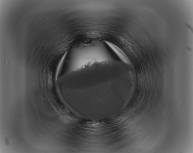 X0000091010267200708241519