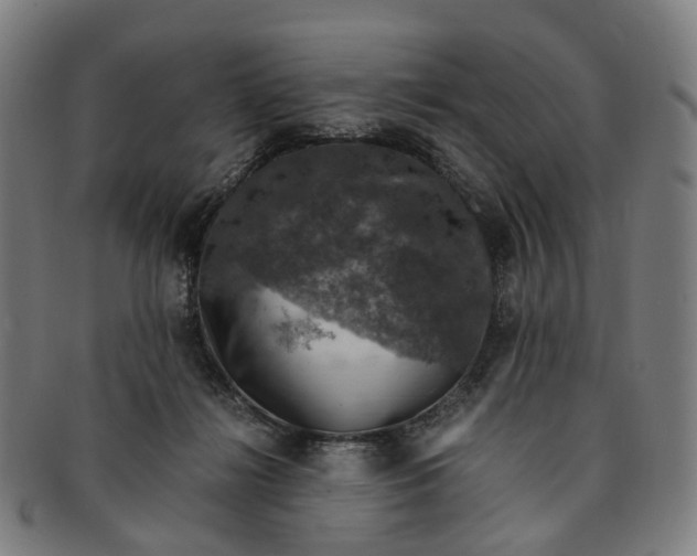 X0000091010268200708241519