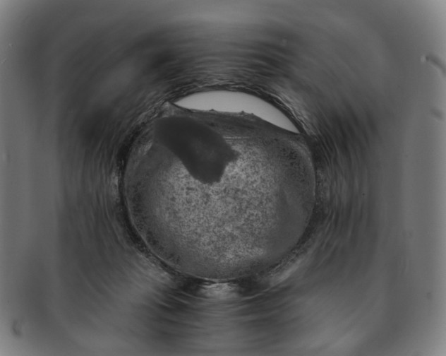 X0000091010269200708241519