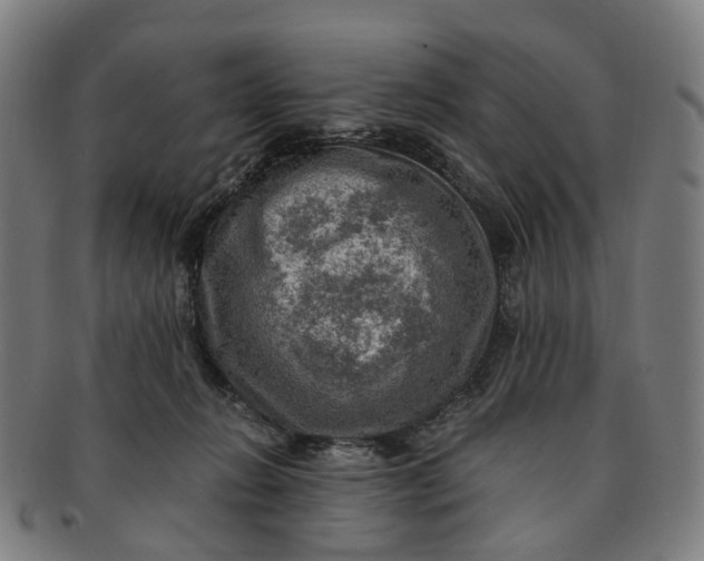 X0000091010270200708241519