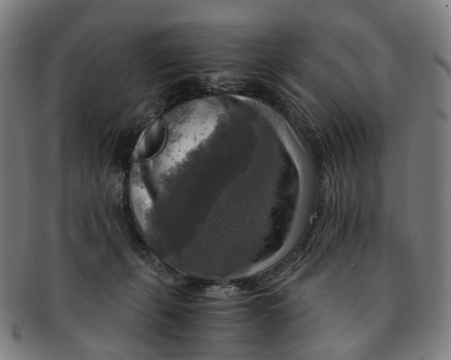 X0000091010271200708241519