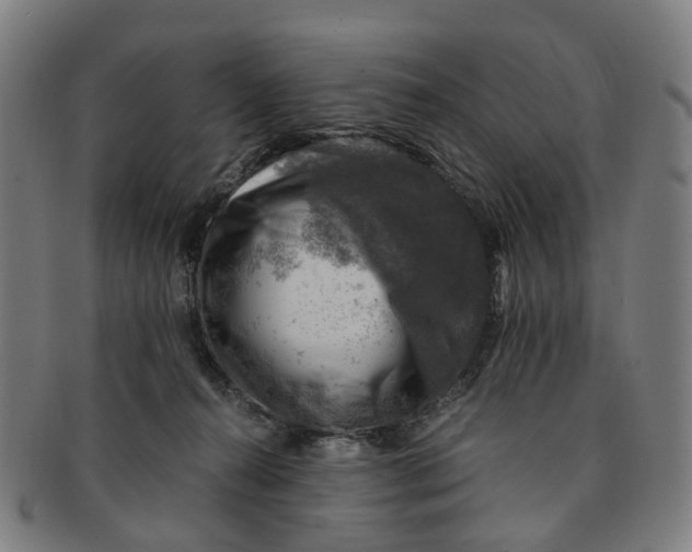 X0000091010272200708241519