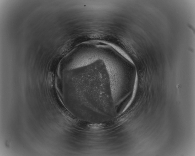 X0000091010273200708241519