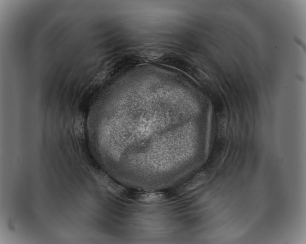 X0000091010274200708241519